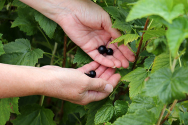 Similar image 21878881