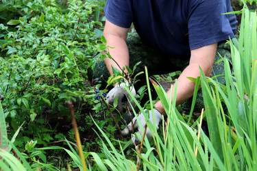 Similar image 21878882