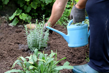 Similar image 21878883