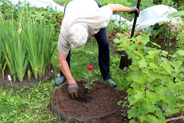 Similar image 21878884