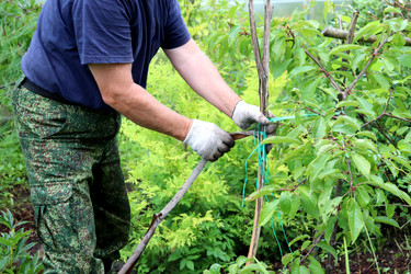 Similar image 21878886