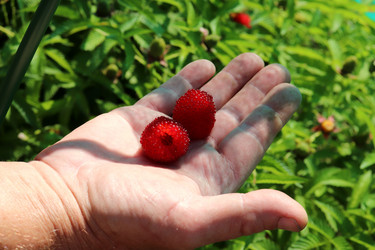 Similar image 21878887