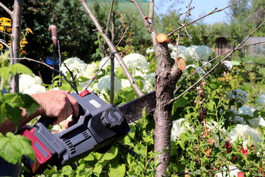 Similar image 21878890