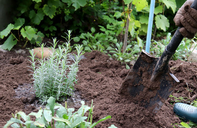 Similar image 21878891