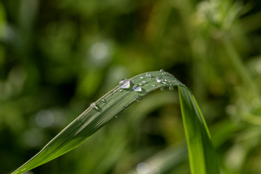 Similar image 21878661