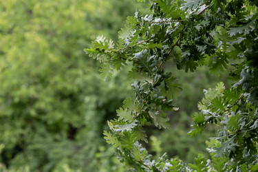 Similar image 21878664