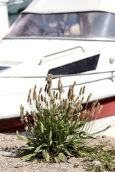 Similar image 21878669