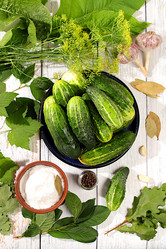 Similar image 21879047