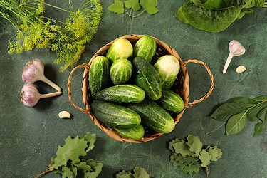 Similar image 21879048