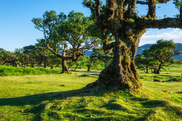 Similar image 21879195