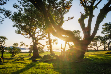 Similar image 21879199