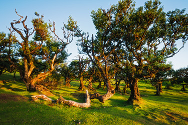 Similar image 21879201