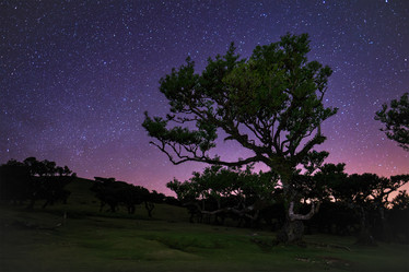 Similar image 21879212