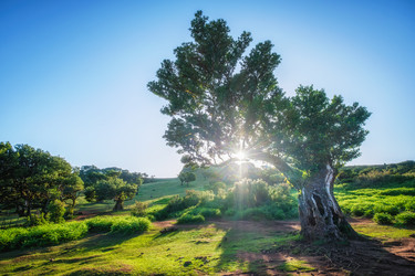 Similar image 21879215