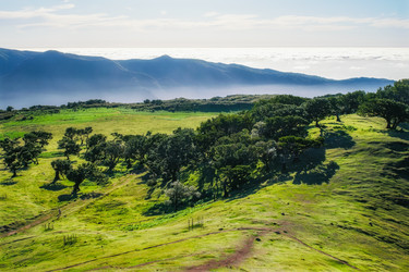 Similar image 21879218