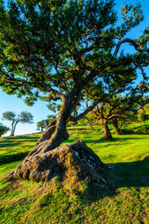 Similar image 21879226