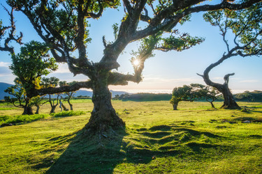 Similar image 21879228