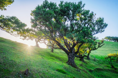 Similar image 21879229