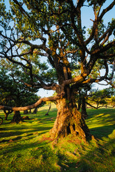 Similar image 21879232