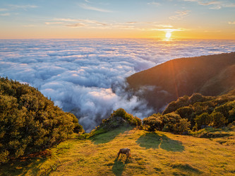 Similar image 21879233