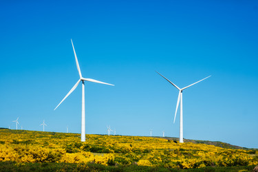 Similar image 21879235