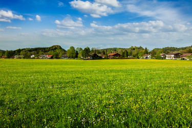 Similar image 21879240