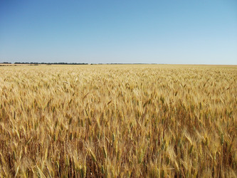 Similar image 21879393