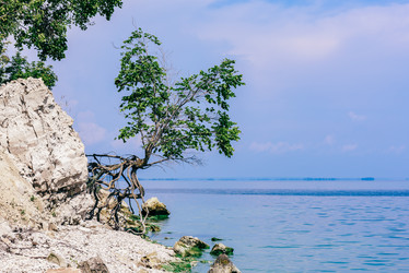 Similar image 21879930