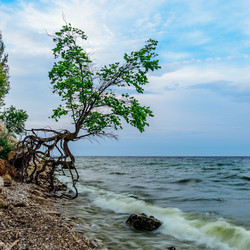 Similar image 21879938