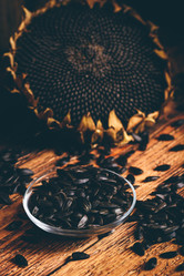 Similar image 21879955