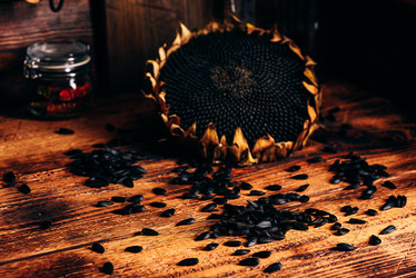 Similar image 21879957