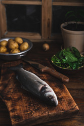 Similar image 21879960