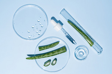 Similar image 21879049