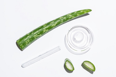 Similar image 21879054