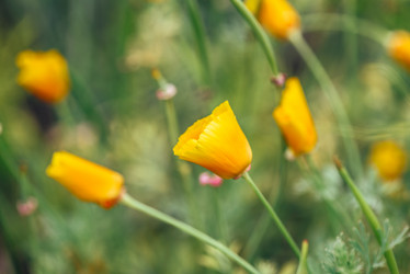 Similar image 21880240