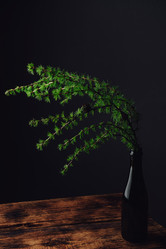 Similar image 21880053