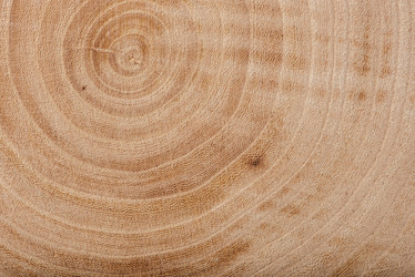 Similar image 21880061