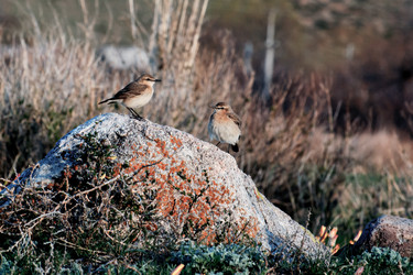 Similar image 21878595