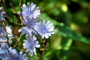 Similar image 21878597