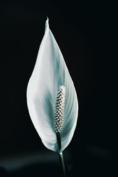 Similar image 21892022