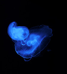 Similar image 21878728