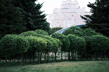 Similar image 21878730