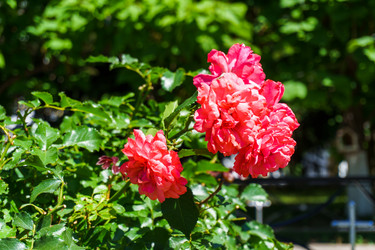 Similar image 21885078