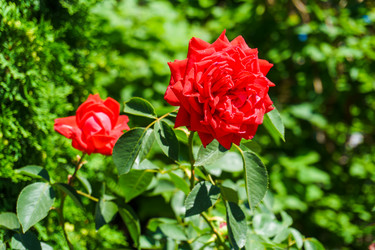 Similar image 21885079