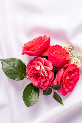 Similar image 21878744