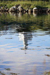 Similar image 21884284