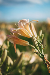 Similar image 21878764