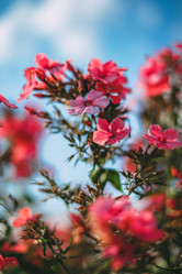 Similar image 21878765