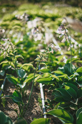 Similar image 21878766