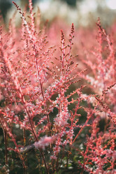 Similar image 21878768